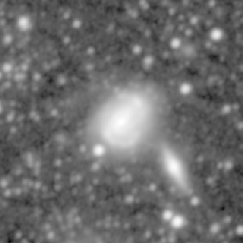 Survey preview for NGC 877