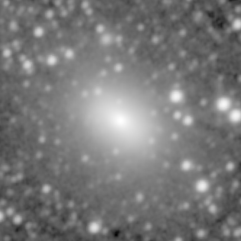Survey preview for NGC 890