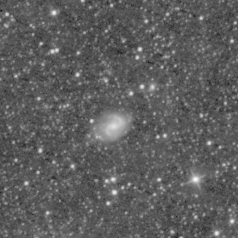 Survey preview for NGC 894