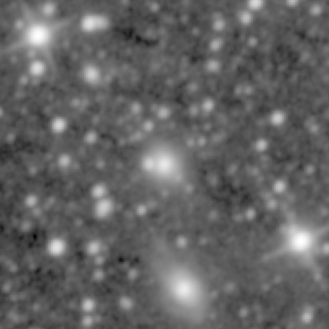 Survey preview for NGC 901