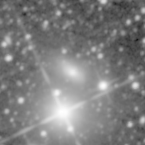 Survey preview for NGC 917