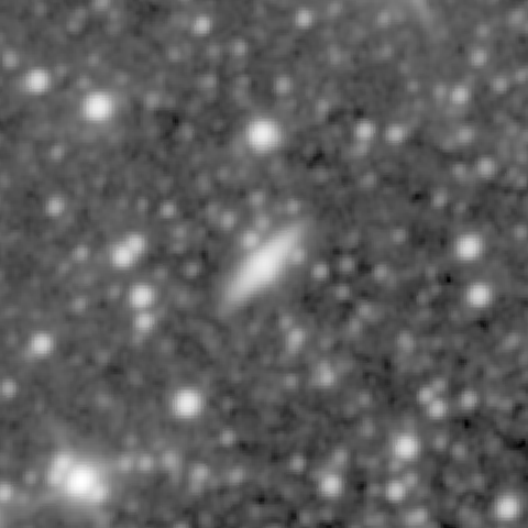 Survey preview for NGC 919