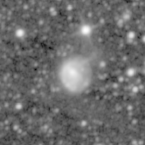 Survey preview for NGC 922