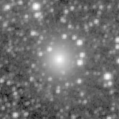 Survey preview for NGC 953