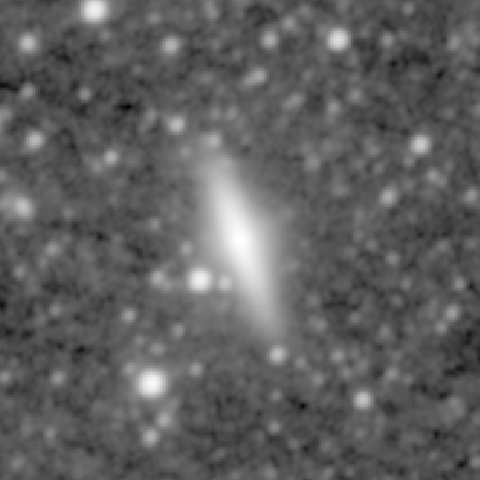 Survey preview for NGC 955