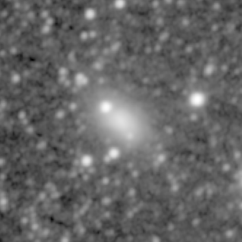 Survey preview for NGC 961