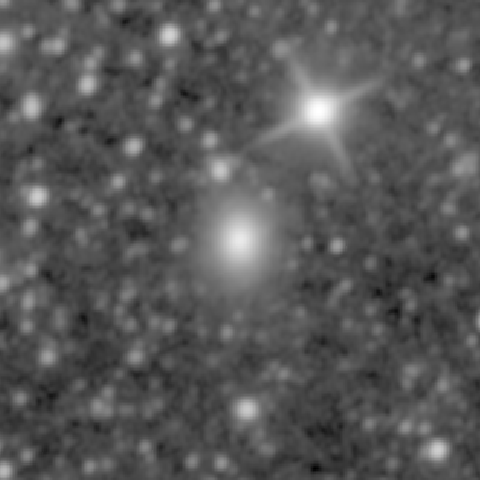 Survey preview for NGC 975