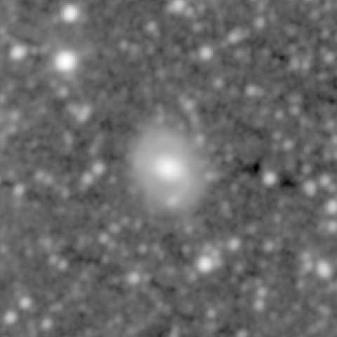 Survey preview for NGC 977