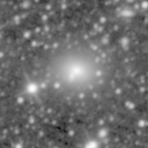 Survey preview for NGC 978