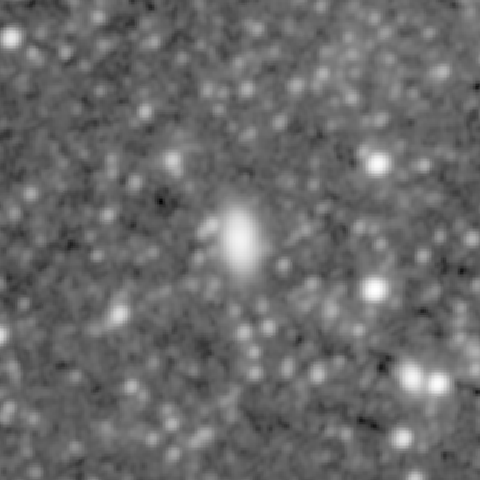 Survey preview for NGC 981