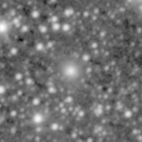 Survey preview for NGC 1000