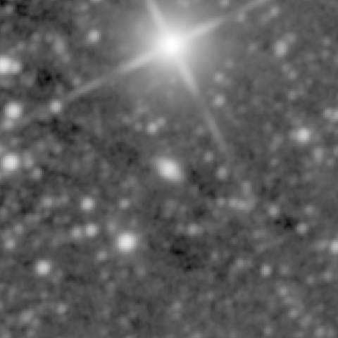 Survey preview for NGC 1007