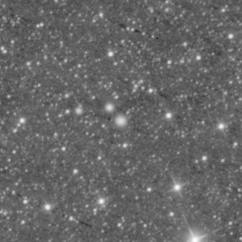 Survey preview for NGC 1010