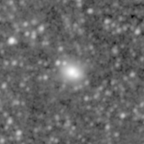 Survey preview for NGC 1013