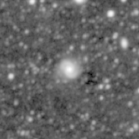 Survey preview for NGC 1019
