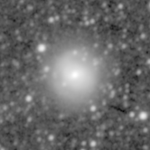 Survey preview for NGC 1022