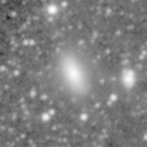 Survey preview for NGC 1031