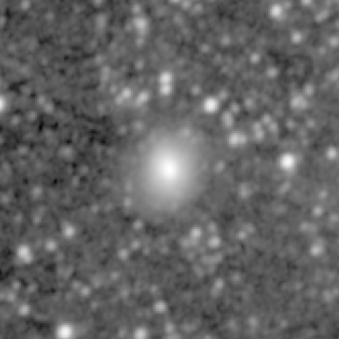 Survey preview for NGC 1036