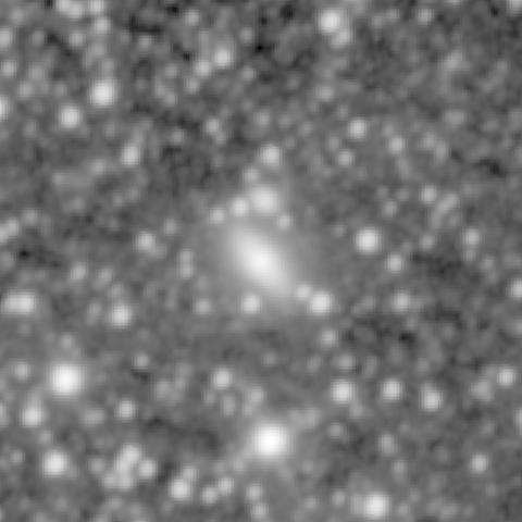 Survey preview for NGC 1040