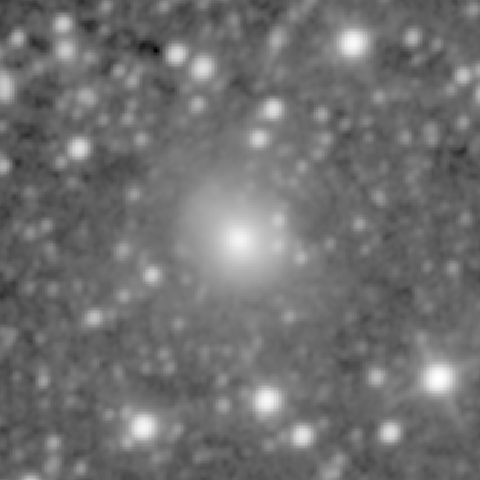 Survey preview for NGC 1041