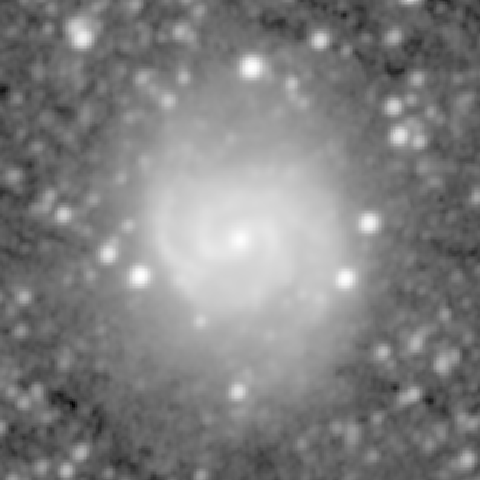 Survey preview for NGC 1042
