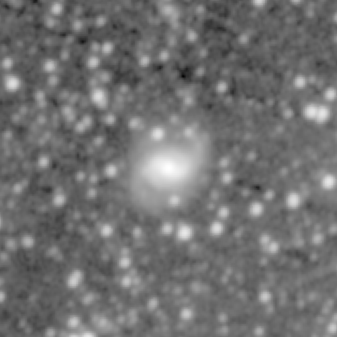 Survey preview for NGC 1050