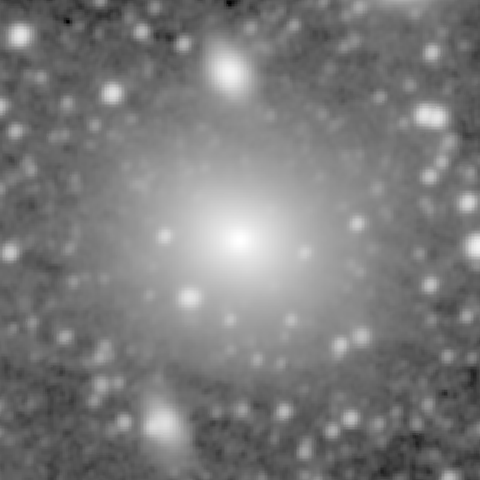 Survey preview for NGC 1060