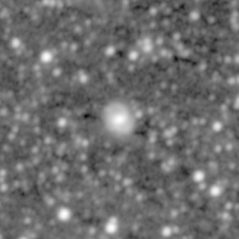 Survey preview for NGC 1064