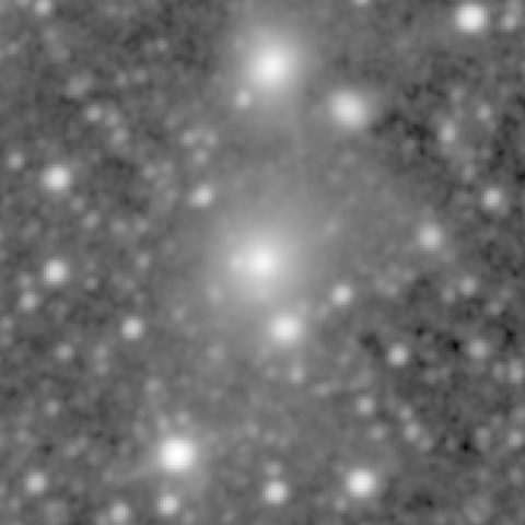 Survey preview for NGC 1065