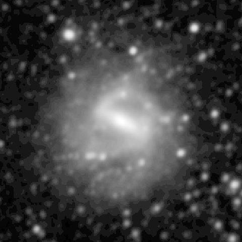 Survey preview for NGC 1073