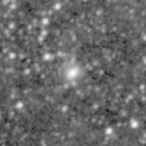 Survey preview for NGC 1075