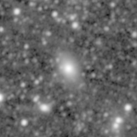 Survey preview for NGC 1078