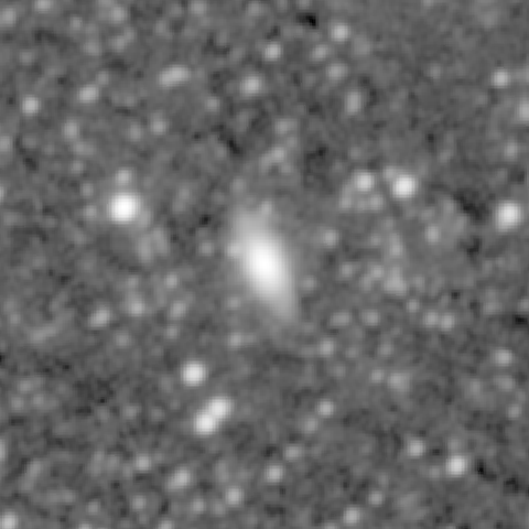 Survey preview for NGC 1081