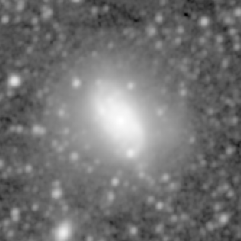 Survey preview for NGC 1084
