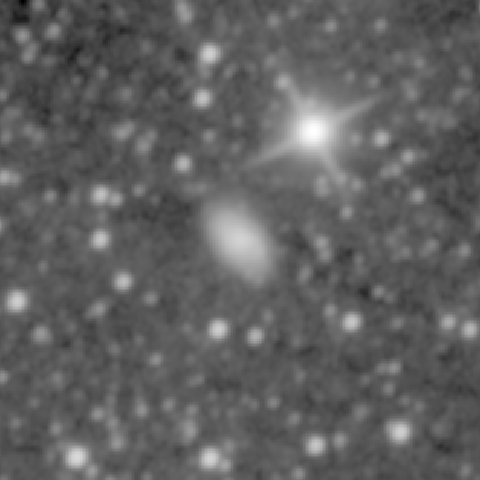 Survey preview for NGC 1095
