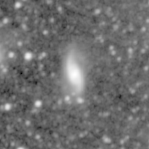 Survey preview for NGC 1099