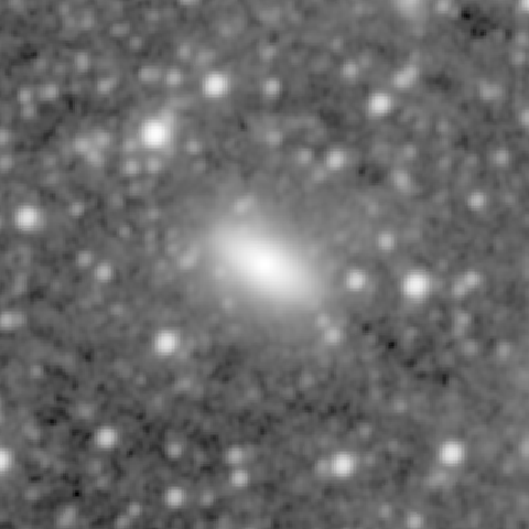 Survey preview for NGC 1100