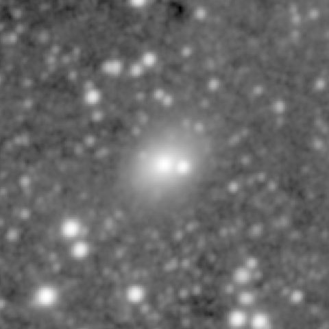 Survey preview for NGC 1101