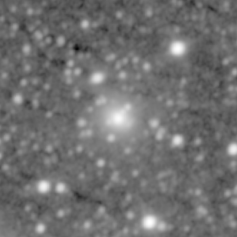 Survey preview for NGC 1105