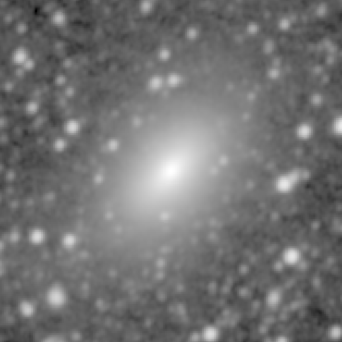 Survey preview for NGC 1107