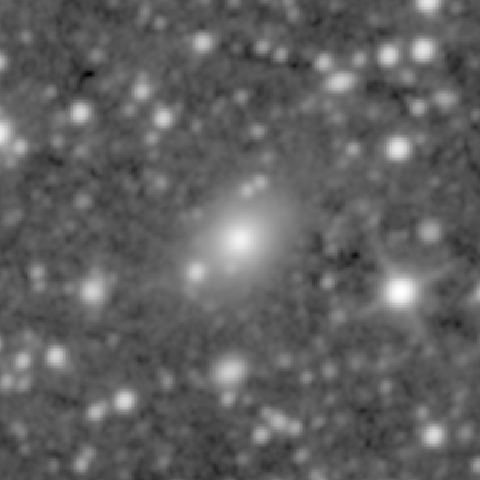 Survey preview for NGC 1109