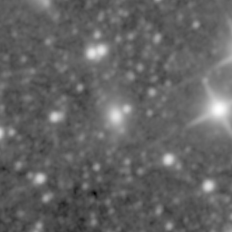 Survey preview for NGC 1115