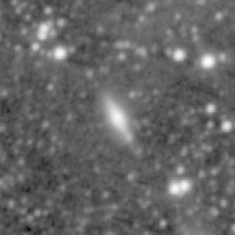 Survey preview for NGC 1116
