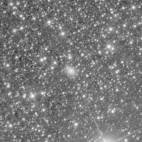 Survey preview for NGC 1123