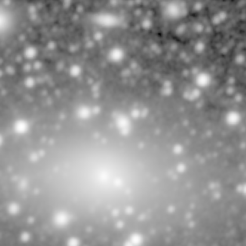 Survey preview for NGC 1130