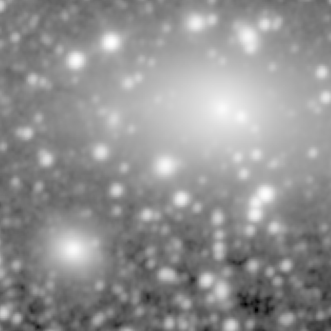 Survey preview for NGC 1131