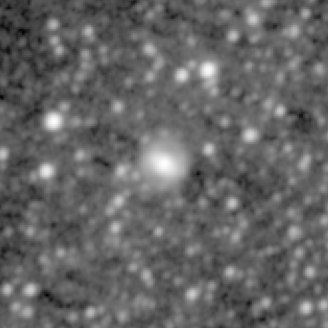 Survey preview for NGC 1133