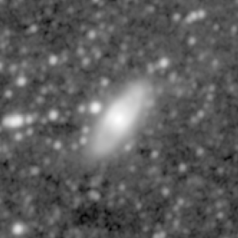 Survey preview for NGC 1134