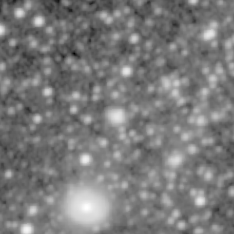 Survey preview for NGC 1135