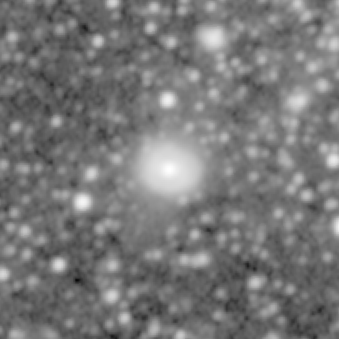 Survey preview for NGC 1136